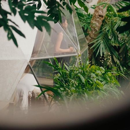 Lintang Luku Tent Resort Ijen, Banyuwangi بانيووانجى المظهر الخارجي الصورة