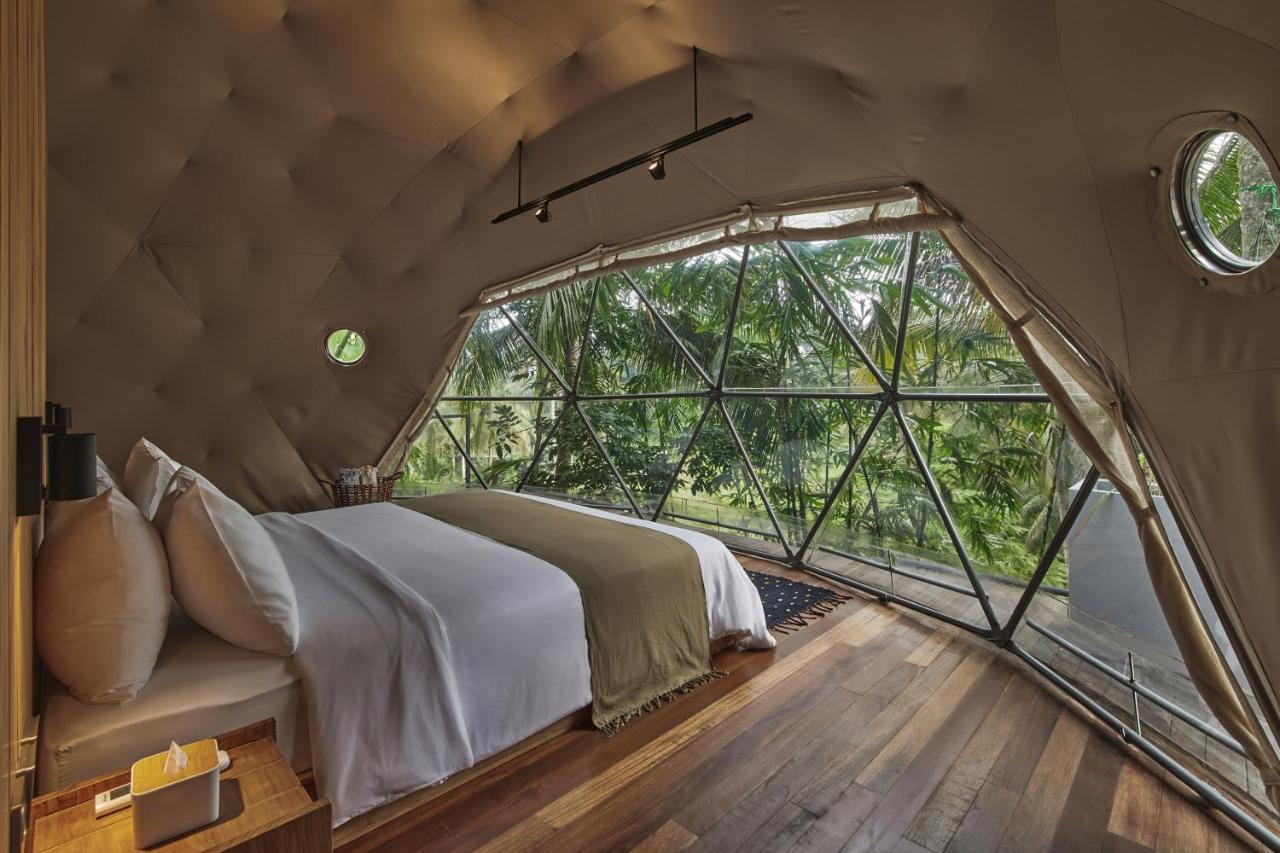 Lintang Luku Tent Resort Ijen, Banyuwangi بانيووانجى المظهر الخارجي الصورة