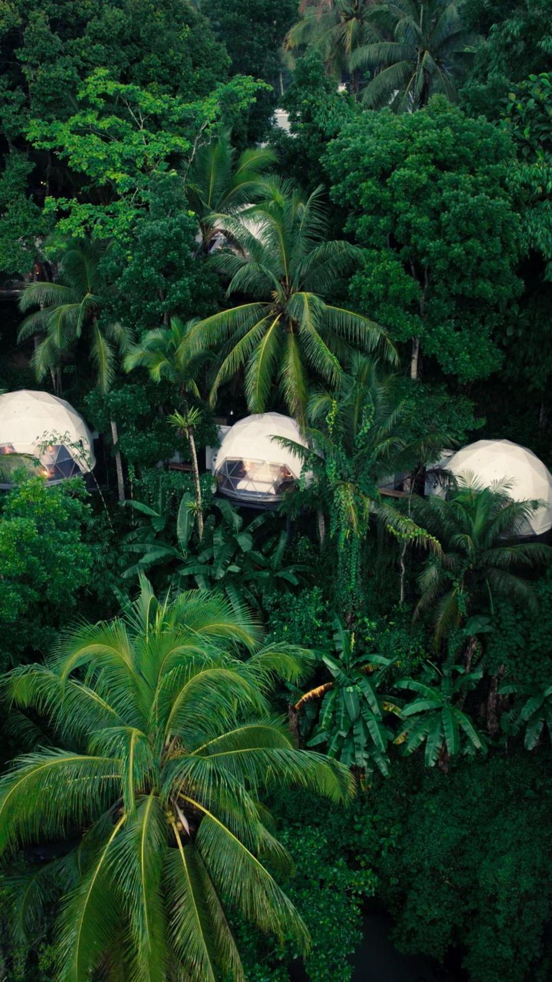 Lintang Luku Tent Resort Ijen, Banyuwangi بانيووانجى المظهر الخارجي الصورة